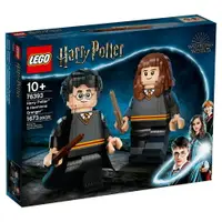 在飛比找樂天市場購物網優惠-樂高LEGO 76393 Harry Potter 哈利波特