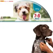 Dog anti Flea and Tick Collars,Pet 8Month Protection Adjustable Collar for Large