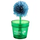 Flower Shaped Crystal Trees Growing Kit Easy To Grow Crystal Making Kit Teens