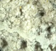 Fluellite Crystals. Tom's Quarry. Sth Australia (EA10089) rare phosphates