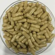 Stinging Nettle Root 20:1 Extract Capsules Pure & High Quality