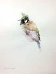Emberizidae, Birds, Watercolor artwork, Handmade, Original painting on paper