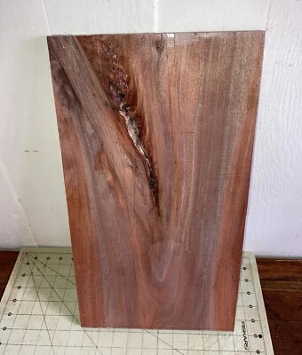 One Piece Hawaiian Ohia Wood w/ Bark Inclusion ~18 3/4 x 10 1/4 x 7/8" (#503)