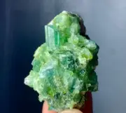 304 Carat Tourmaline Crystal Specimen from Afghanistan