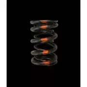 Brian Crower BC1020 Dual Valve Spring For Honda/Acura B18A/B18B/B20B NEW (for: Honda)