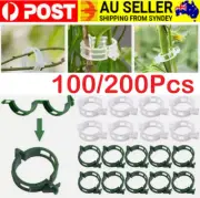 100/200x Plant Support Clips Ties Veggie Trellis Stake Greenhouse Tomato Garden