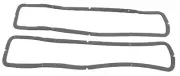 TailLight Gasket Kit Weatherstrip Seal for Ford Thunderbird 1964-65 2DR 2pc