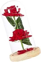 MOLUCKFU Artificial Flower Rose Night Light with Led String Two Faux Roses in Glass Dome Romantic for Home Valentine Day Birthday and Wedding Celebrations