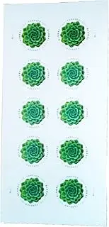 Green Succulent Sheet of 10 Global USPS First Class International Forever Postage Stamps (1)