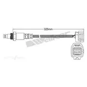 PAT Oxygen/Lambda Sensor Pre-Catalytic Converter/Manifold - EGO-611