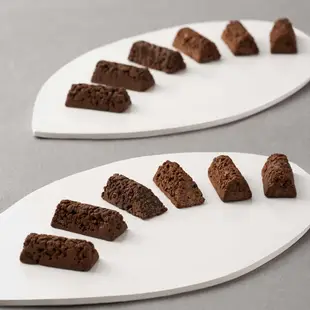🌸《現貨》日本 東京銀座資生堂パーラー巧克力CHOCOLAVION零食SHISEIDO PARLOUR