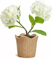 Two's Company Two's Company Scalloped Edge Basket Weave Pattern Cachepot - Resin