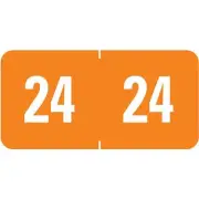 Smead ETS 24 Color-Coded Year Label 0.5" x 1" Orange 250 Labels/Pack (67924)