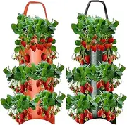 Tomato Root Bags 2pcs Non Woven Strawberry Grow Pouch Tomato Wall Hanging | Reusable Flower Growth Planting Bag, Pyramid Planter