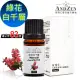 【 ANDZEN 】單方純精油10ml-綠花白千層 天然 草本