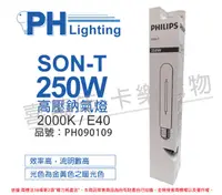 在飛比找PChome24h購物優惠-(2入)PHILIPS飛利浦 SON-T 250W E40 