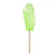 Feather Ballpoint Pens Bulk, Writing Pens Style 1, Green/Rose Gold