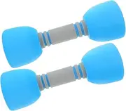 Alasum 1 Pair Dumbbells Set Lightweight Indoor Fitness Equipment for Smoothly Polished Material Safe Physical for Exercise and Development