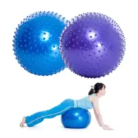 在飛比找momo購物網優惠-【Fun Sport】樂波兒-核心訓練健身球-65cm顆粒按