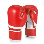 10 oz Boxing Sparring Training Gloves for Men, Youth, Women, Punching Bag, Red