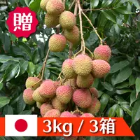 在飛比找樂天市場購物網優惠-2024年空運預購－《日日好菓》玉荷包荔枝 3kg/箱 * 