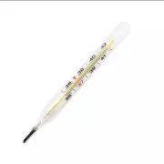 Mercury-Free Glass Accuracy Thermometer Dual Scale Classic Traditional USA Stock