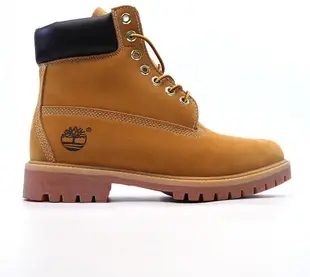 【實拍】Timberland 添柏嵐 踢不爛 基本款 麥黃色 黃金靴 黃靴 經典六吋靴子 防水登山鞋 男女鞋