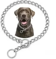 Choke Chain for Dogs,Stainless steels Silver S Slip Link Training Heavy Duty Dog Choker Collar Martingale Puppy Collars for Small Medium Large Big XL Breed Dogs