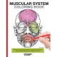 Muscular System: Now You Can Learn and Master the Muscular System With Ease While Having Fun Reinforcing Visual Details of the M