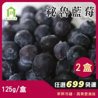 在飛比找蝦皮購物優惠-【每日宅鮮】任選$699免運｜祕魯藍莓 125g／盒±5% 