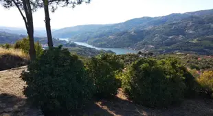 Paraiso Hills - Encostas do Paraiso: tranquilidade no Douro