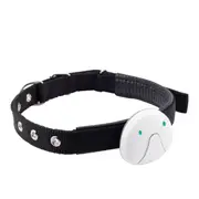Anti Lost Dog GPS Tracker