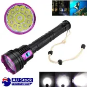 Powerful 80000LM 12LED Scuba Diving Flashlight Diver Light Underwater Torch AU