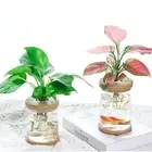 2Pcs Self-watering Flower Pot Plastic Container Indoor Outdoor Home Garden