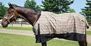 Turnout Sheet for Horses Black Label - Size 80 Plaid