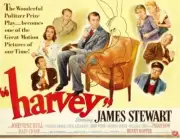 Harvey Lobby Card Charles Drake Peggy Dow Jesse White James Stewart OLD PHOTO