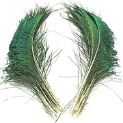 20 Pcs/Lot Peacock Feathers Wing Craft Feathers Decoration Feathers for Crafts Peacock Feather Natural