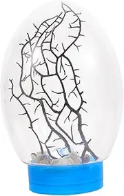 Biosphere Ecosystem Fish Tank with LED Lighting Closed Ecosystem for Beginners Viewing Easy Setup Present for Friends Base Design