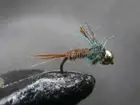 1 DOZEN GOLD BEAD HEAD PHEASANT & EMERALD DUBBING NYMPHS FLY FISHING- (BH-30)
