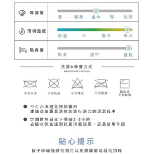 La Belle 加拿大 水鳥羽毛絨 冬被 單/雙 格蕾寢飾 羽絨被 羽毛被