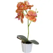 LVD Faux Orchid Small Decorative Elegant Lighting Home/Office Decor Peach