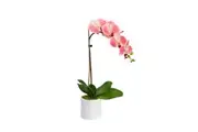 48cm Potted Phalaenopsis Orchid in Pot Fake False Artificial Flowers - Mauve