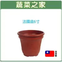 在飛比找momo購物網優惠-【蔬菜之家】法國盆6寸 歐洲盆(花盆 花槽 栽培盆 種植盆 