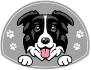 Personalized Stainless Steel Dog ID Tag Name Plate Anti-Lost Pet Name Tag Pendant Custom Engraved Cat and Dog Nameplate Label Pet Collar Supplies Accessories,Border Collie,Sliver