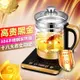 養生壺玻璃花茶壺多功能煮茶器電水壺煎藥壺110V 全館免運