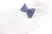 Mens Navy Denim Preppy Insects Patterned Cotton Bow Tie