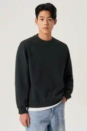 Jacquard Textured Sweatshirt Green