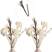 12 Pcs Reed Diffuser Sticks Flowers Reed Set White Wood Flower Aromatic Diffuser for Bathroom Home Bedroom Office Decor Office, Natural Flower