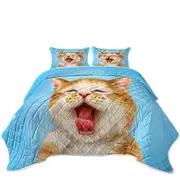 Funny Cats Sleepy Kitten Coverlet