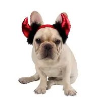 在飛比找蝦皮購物優惠-可愛的紅魔角寵物頭飾角色扮演配件適用於法國鬥牛犬貓小型犬萬聖